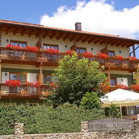 Pension Zur Alten Schmiede Zwiesel Exterior foto